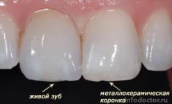 стоматологическая поликлиника №33 изображение 7 на проекте infodoctor.ru