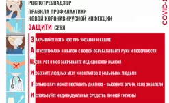 многопрофильный медицинский центр новое сечение изображение 6 на проекте infodoctor.ru